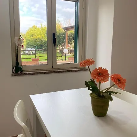 Residenza A&d Casa vacanze Santa Domenica (Vibo Valentia)